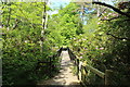 Footbridge over Glenrosa Water