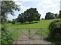 Pasture off Lone Lane below Penallt