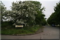 Cottagers Plot on the Laceby Road, Grimsby