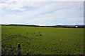 Flat farmland near Monksland Farm