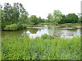 The lake in Riverside Garden Park