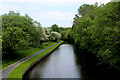 The Canal from Heald Bridge