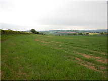 SS6705 : Field near Bankland Farm by James Emmans
