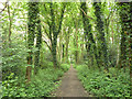 Public footpath, Horsell Common