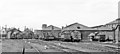 NZ4057 : Sunderland South Dock Locomotive Depot, 1953 by Walter Dendy, deceased
