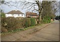 Houses by the North Orbital Road (A405)