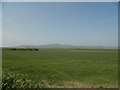 Field at Emmock Farm