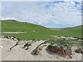 HP5703 : Beach merging to grassland, Lunda Wick, Unst by Julian Paren
