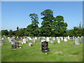 A Sunday morning visit to Petersfield Cemetery (36)