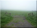 Field entrance near West Minsteracres