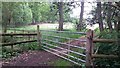 Field gate on Queens Road