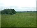 Grassland near Selling Tunnel