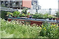 View of Gremlin moored up on the Hertford Union Canal