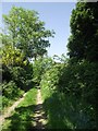 A footpath from Swithland