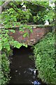 Forge Mill Needle Museum - Aqueduct over the tail race