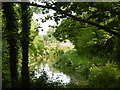 Lake at Waterside Fish Farm