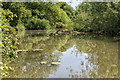 River Leam from Riverside Walk