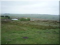 Grazing, Blackpool Hill