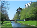 The New River north of Hoe Lane (3)