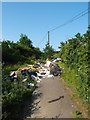 Fly tipping, Sewardstone