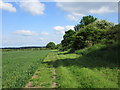 Footpath alongside the old railway