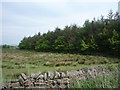 Rough grazing and woodland