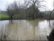 SP2965 : A near flood, River Avon, southeast Warwick by Robin Stott