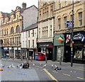 High Street gulls, Newport