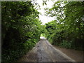 TM0358 : Wash Lane, Great Finborough by Geographer
