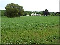 Farmland at Brockley