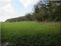 TG0735 : Field near Hunworth by Hugh Venables