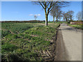 Road past Thurgarton Hall