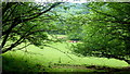 The Grwyne Fawr valley