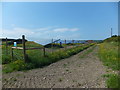 Footpath beside a solar panel farm