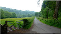 SO2724 : Road along the Grwyne Fawr valley, 3 by Jonathan Billinger