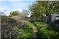 Footpath to Biddenham