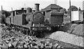 LNER 0-6-2Ts at Bowes Bridge, Marley Hill, 1954