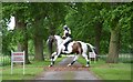 Brand Hall Horse Trials: Danger Horses Crossing