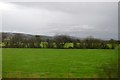 Flat farmland and hedge