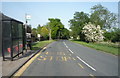 Bus stop on Auton Stile