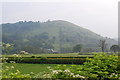 View across the Tanat Valley