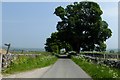 Lane near Gold Hill