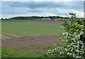 Farmland north of Red Lane