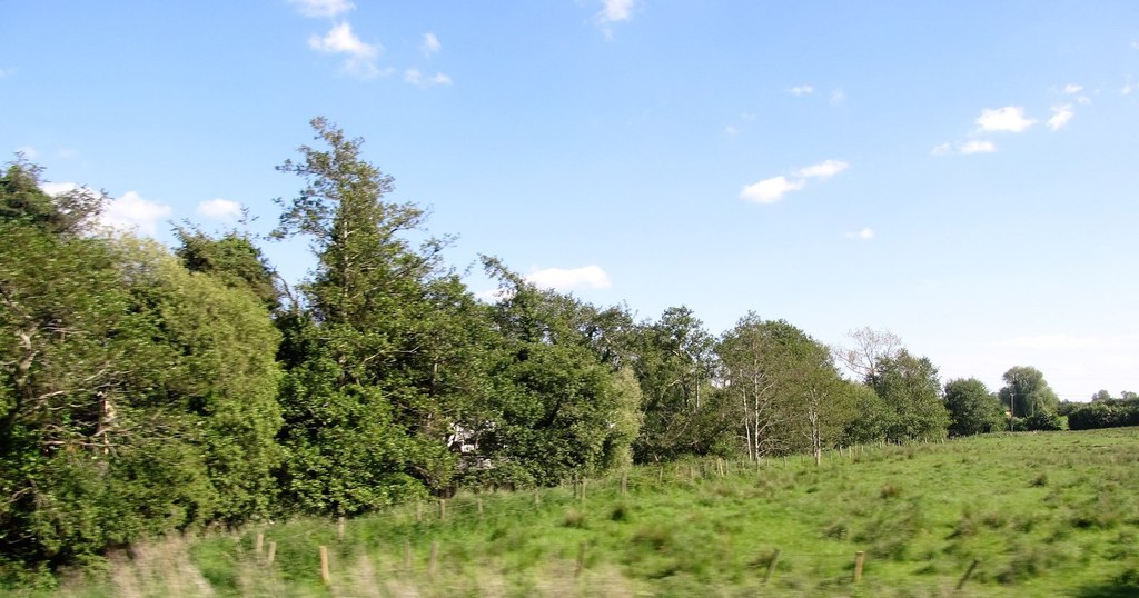 shelter-belt-south-of-the-n12-eric-jones-cc-by-sa-2-0-geograph-ireland