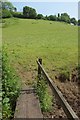 Cattle pasture above the Teign