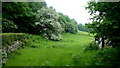 Field at the northern edge of Sugarloaf