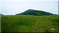 View to Bryn Arw