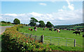 Humeston Farmland