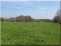 Football pitches alongside Leeds and Bradford Road