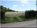 H9831 : Mown hayfield on the south side of Ballymoyer Road, Whitecross by Eric Jones